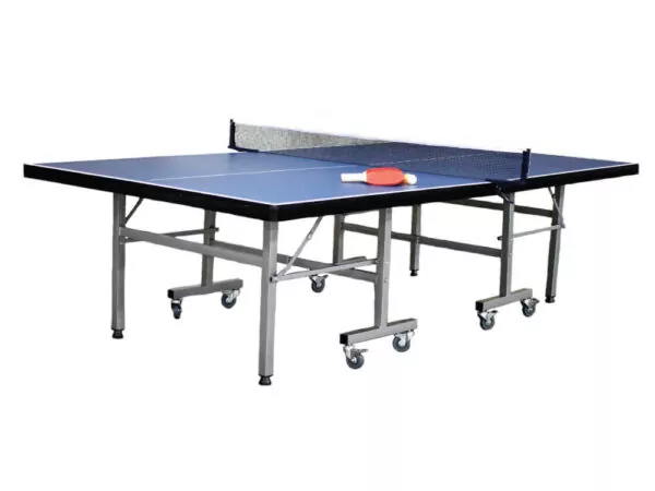 Indoor Table Tennis 