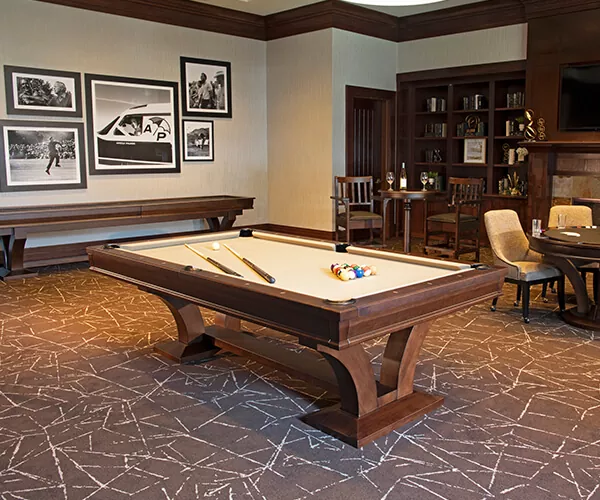 billiard pool collection for game room