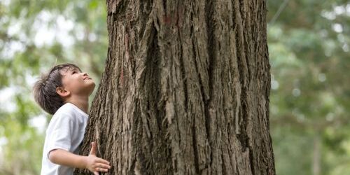 Eco-Friendly Packaging Boy hugging tree