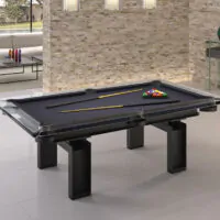 Billard Kyoto Rene Pierre