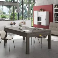 Billard Table Horizon salle a manger